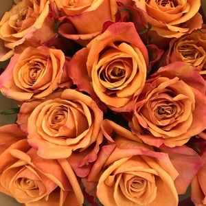 Meet your Posher, Kimberly